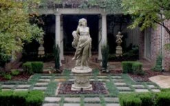 Dwarf Mondo Grass - 18 Count Flat Of Pint Pots -Foliage Dream Sales Store Picture Mondo Grass Dwarf Pavers