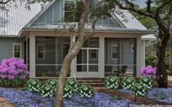 Snow Globe Gardenia - 1 Gallon Pot -Foliage Dream Sales Store gardenia jasminoides snow globe 2 1