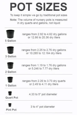 Best Seller -Foliage Dream Sales Store pot size chart 2022 360